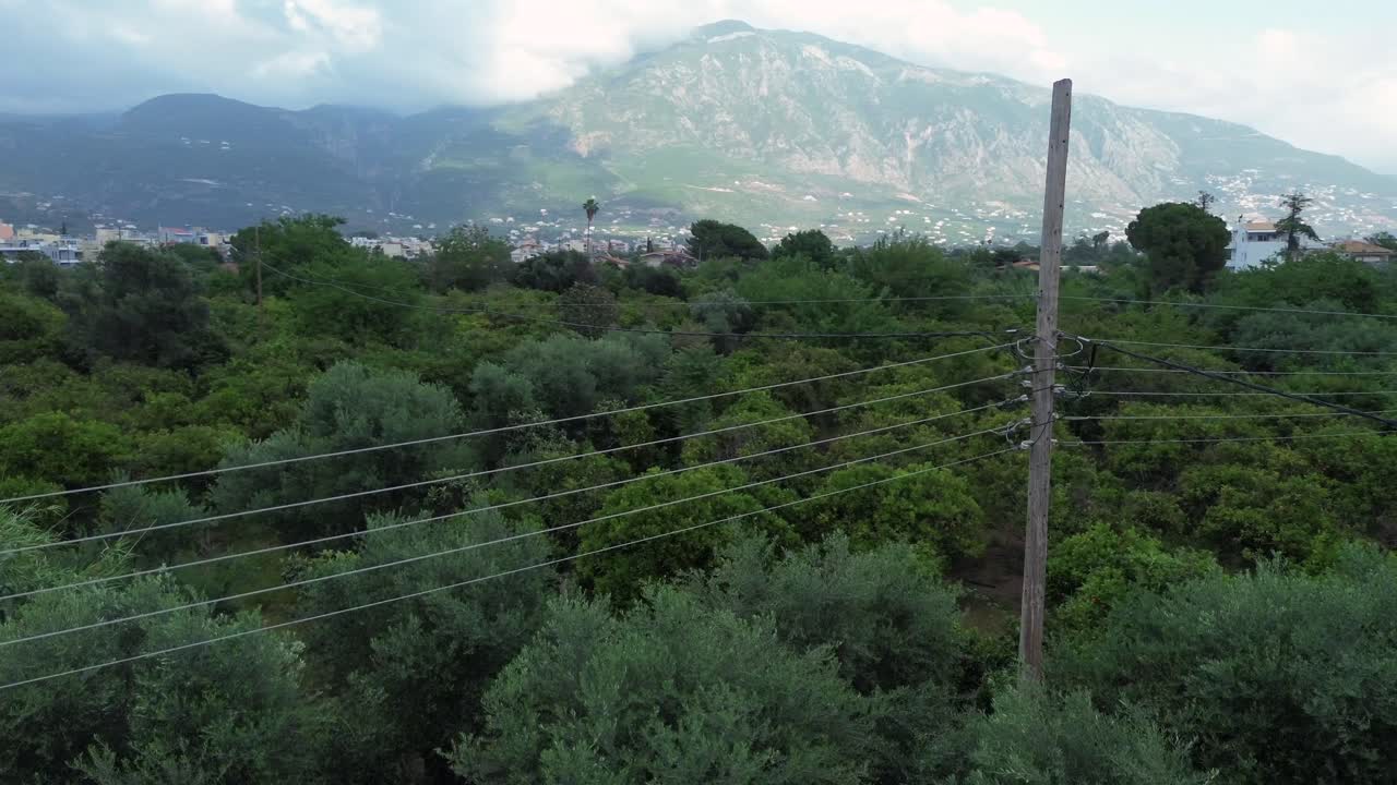 Aerial orbital low altitude view of olive grove at suburbs of Kalamata city, Taygetos mountain covered with clouds on background, old wooden power line pole on foreground 4K