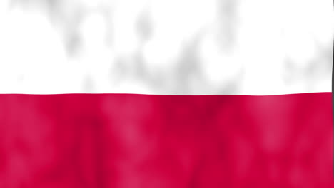 fondo de la bandera de polonia ondeando ilustración hd, animación