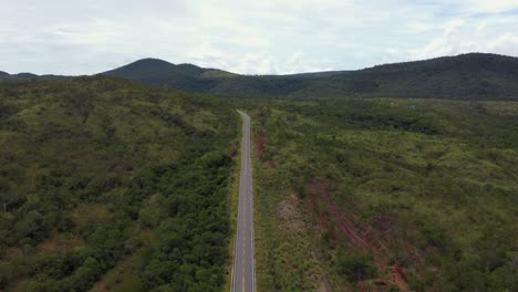 car passing in a road in the middle of the jungle - aerial view