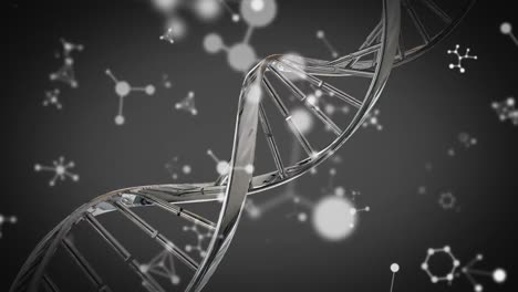 animation of silver dna strain spinning with molecules and chemical elements floating on grey backgr