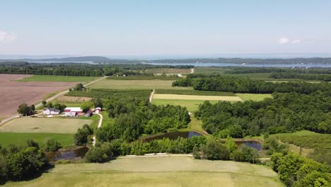 Cherry-And-Apple-Orchards-Near-The-Lake-Leelanau-In-Traverse-City,-Michigan-Under-The-Bright-Blue-Sky