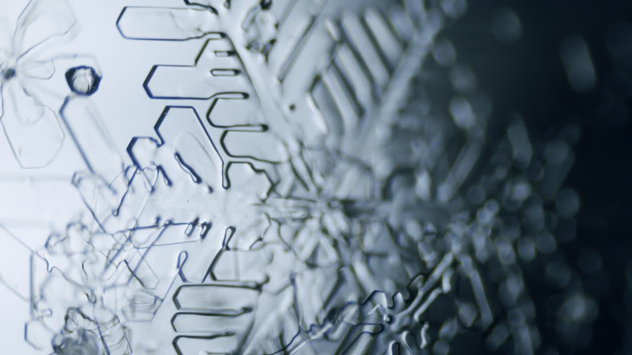 현미경으로 눈송이 얼음 결정 별 수상 돌기