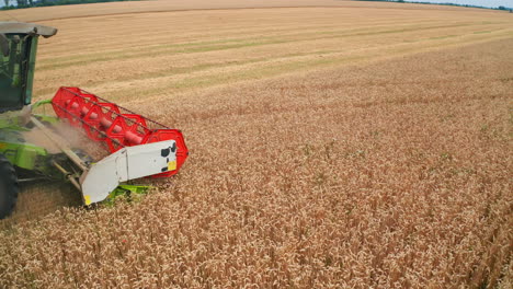 red bright mowing mechanism of a harvester rotating and cutting ripe wheat. side view. huge golden plantation backdrop.