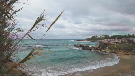 a serene beach scene in cyprus with gentle waves, swaying grasses, a rocky coastline, and an overcast sky hinting at dramatic weather changes