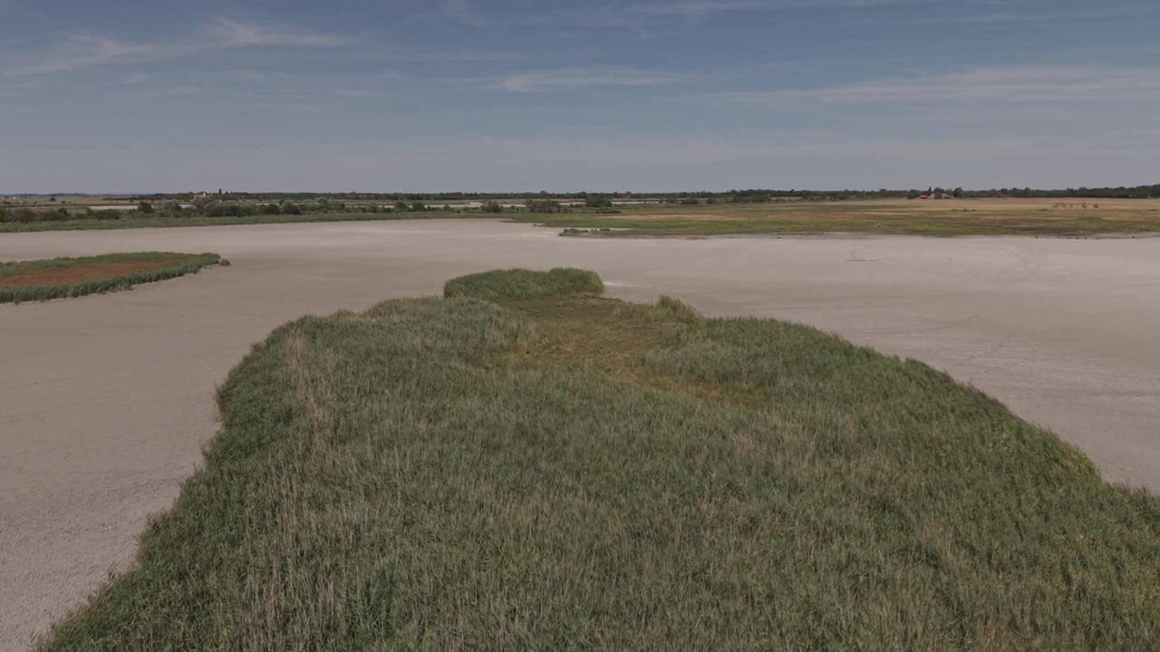 En droneudsigt over en rørø omgivet af den blotlagte bund af en udtørret saltsø i et beskyttet vådområde