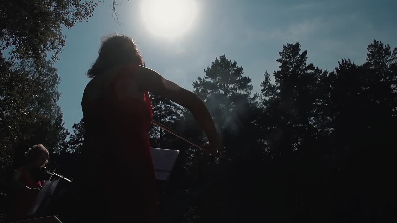 젊은 예쁜 소녀 바이올리니스트가 그룹의 일부로 바이올린을 연주하고 있습니다.